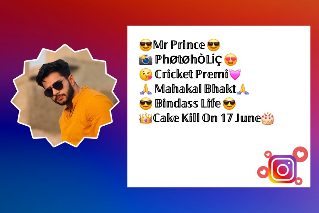 Instagram Bio For Boys Stylish Font