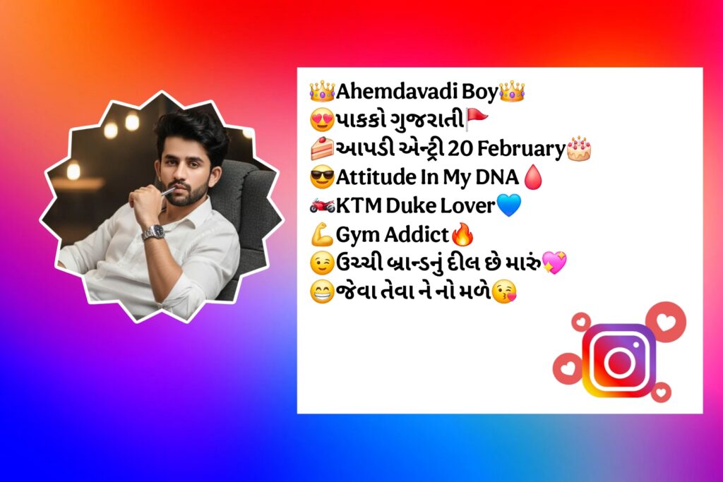 Best Instagram Bio in Gujarati